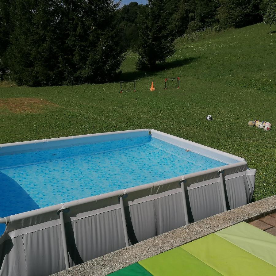 Apartmaji Borstner Appartamento