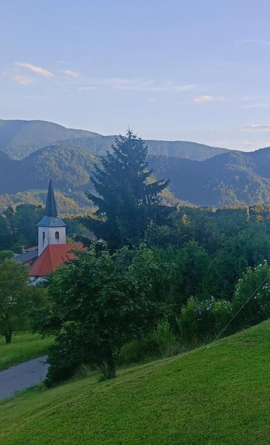 Apartmaji Borstner *