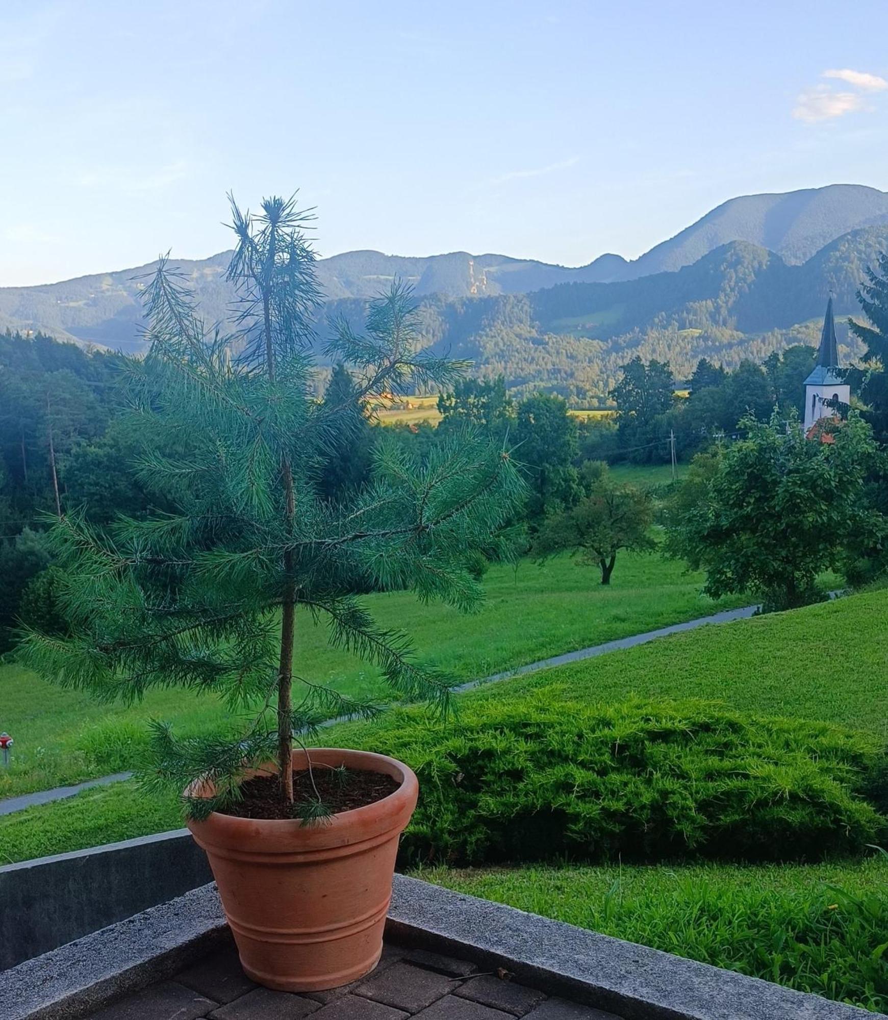 Apartment Apartmaji Borstner Vransko