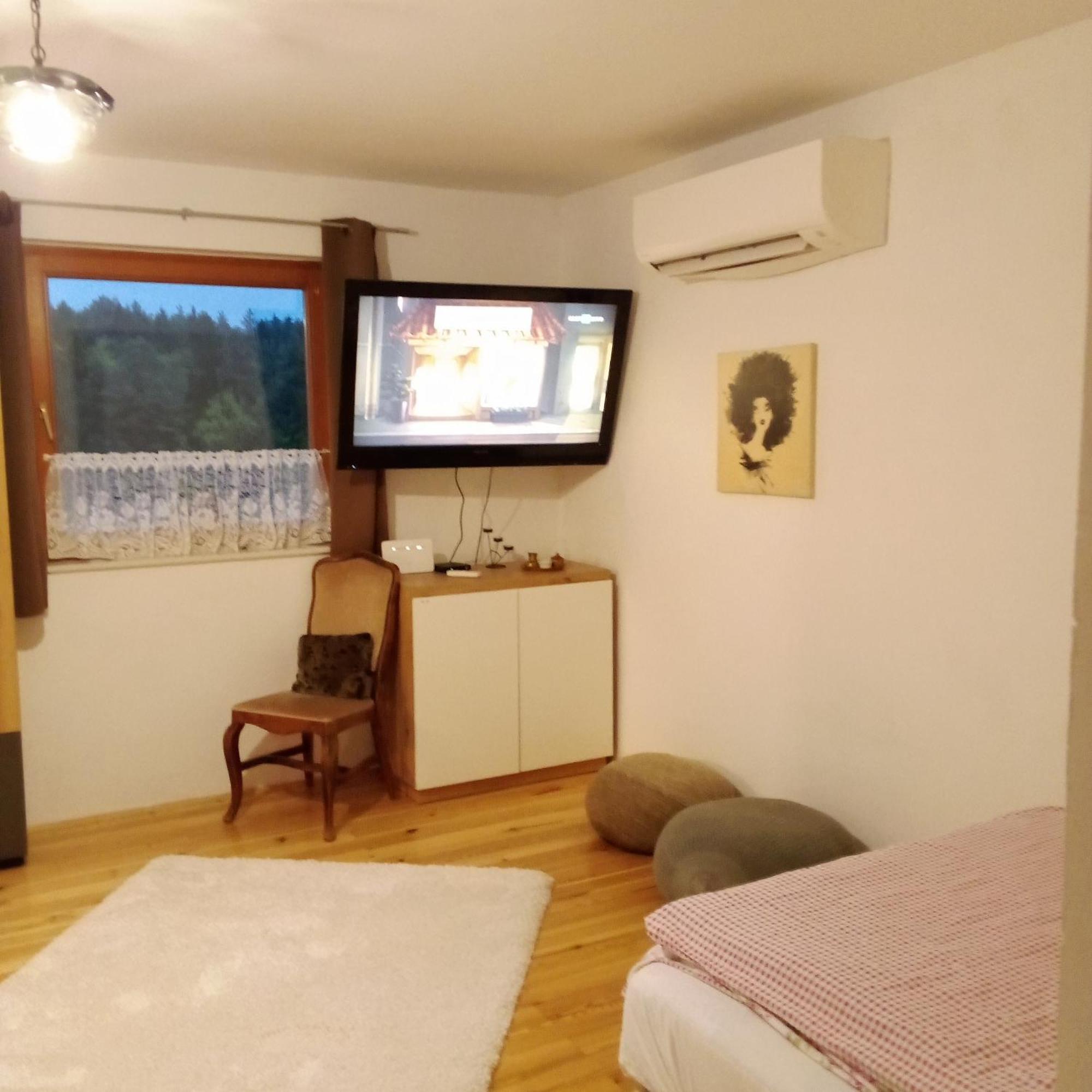 Apartmaji Borstner Apartment Vransko